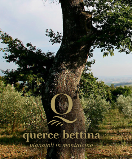 Querce Bettina Oak Tree